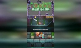 金鸡前线最新爆料,最新爆料背后的精彩故事